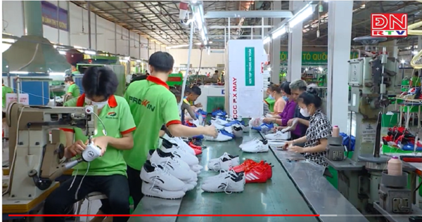Giày Prowin - 15 năm vươn tầm khẳng định thương hiệu giày hàng đầu của người Việt 4