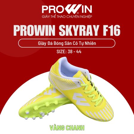 PROWIN SKYRAY F16 VANG CHANH 3