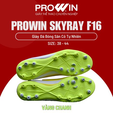 PROWIN SKYRAY F16 VANG CHANH 4