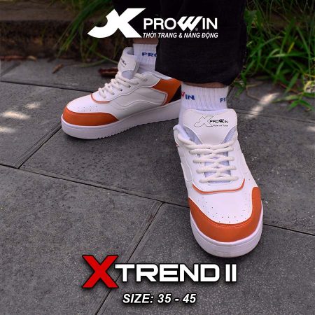 Xtrend 2 4